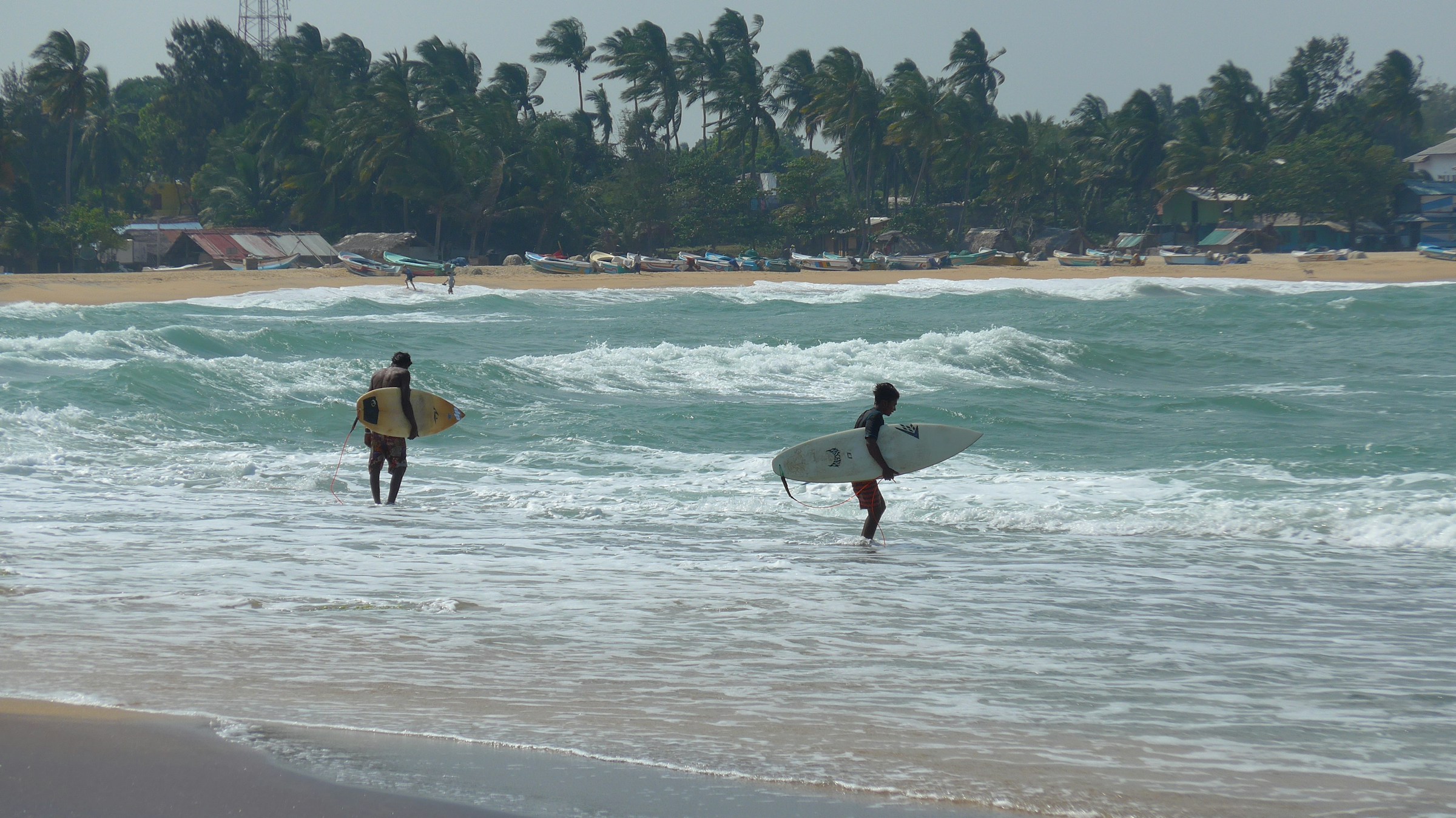 arugam bay surfing